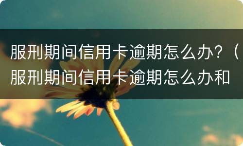 信用卡逾期怎样跟银行申请停息分期（信用卡逾期怎样跟银行申请停息分期呢）