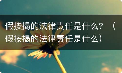 假按揭的法律责任是什么？（假按揭的法律责任是什么）