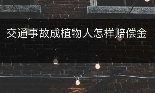 交通事故成植物人怎样赔偿金