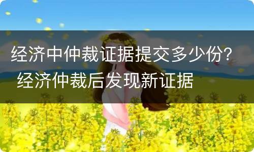 经济中仲裁证据提交多少份？ 经济仲裁后发现新证据