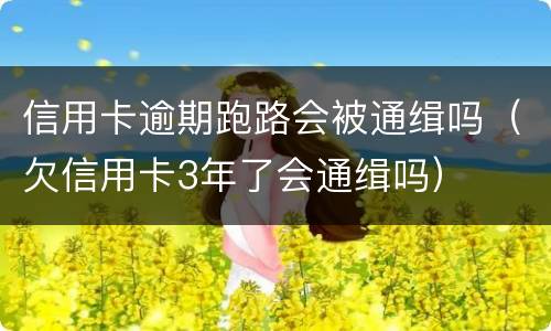 信用卡逾期跑路会被通缉吗（欠信用卡3年了会通缉吗）