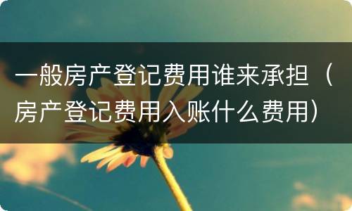 一般房产登记费用谁来承担（房产登记费用入账什么费用）