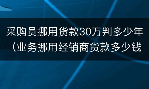 采购员挪用货款30万判多少年（业务挪用经销商货款多少钱可以判罪）