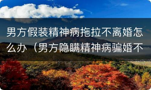 男方假装精神病拖拉不离婚怎么办（男方隐瞒精神病骗婚不肯离婚还要求返还聘礼）