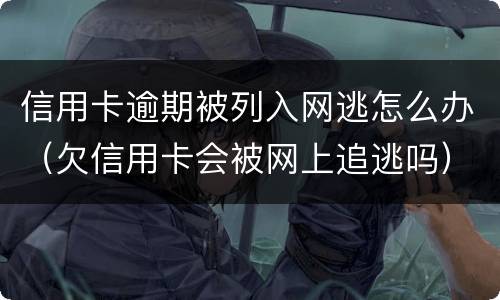 信用卡逾期被列入网逃怎么办（欠信用卡会被网上追逃吗）