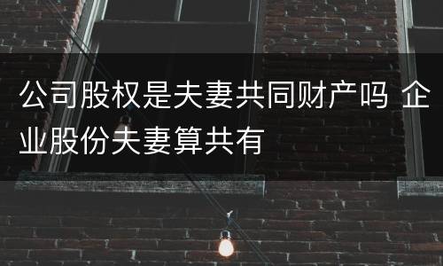 公司股权是夫妻共同财产吗 企业股份夫妻算共有