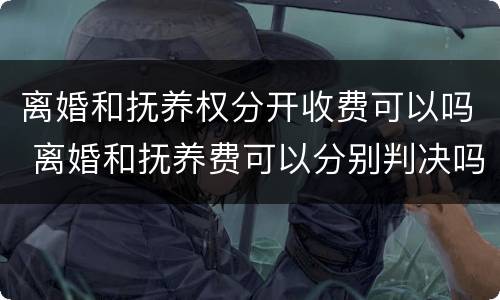 离婚和抚养权分开收费可以吗 离婚和抚养费可以分别判决吗