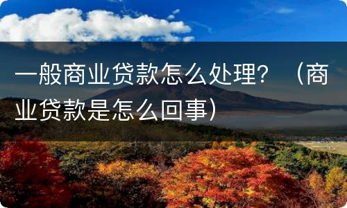 一般商业贷款怎么处理？（商业贷款是怎么回事）