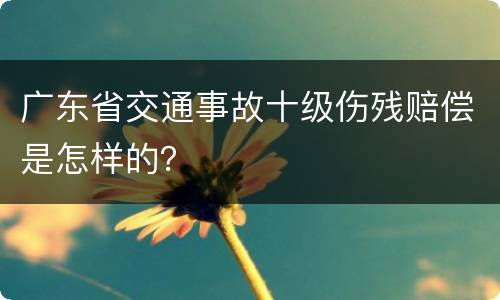 广东省交通事故十级伤残赔偿是怎样的? 广东省交通事故十级伤残赔偿是怎样的?