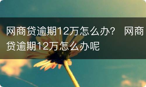 网商贷逾期12万怎么办？ 网商贷逾期12万怎么办呢