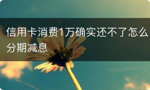 信用卡消费1万确实还不了怎么分期减息