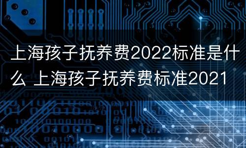 上海孩子抚养费2022标准是什么 上海孩子抚养费标准2021