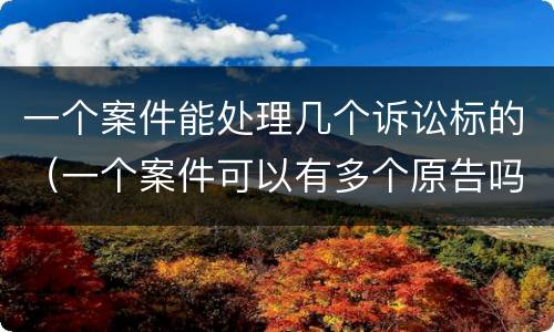 一个案件能处理几个诉讼标的（一个案件可以有多个原告吗）