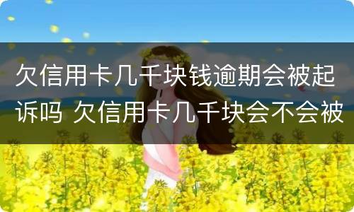 欠信用卡几千块钱逾期会被起诉吗 欠信用卡几千块会不会被起诉