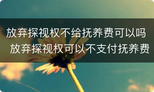 放弃探视权不给抚养费可以吗 放弃探视权可以不支付抚养费吗