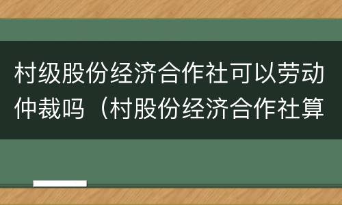 村级股份经济合作社可以劳动仲裁吗（村股份经济合作社算企业吗）