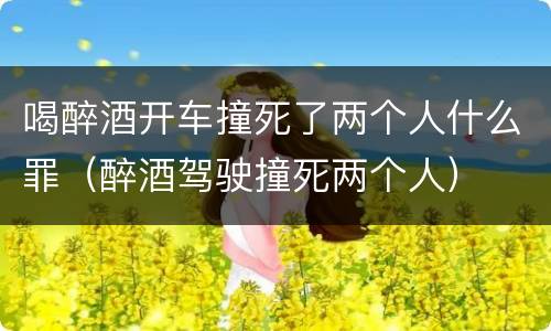 喝醉酒开车撞死了两个人什么罪（醉酒驾驶撞死两个人）