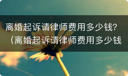 离婚起诉请律师费用多少钱？（离婚起诉请律师费用多少钱一次）