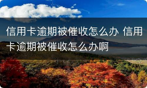 信用卡逾期被催收怎么办 信用卡逾期被催收怎么办啊