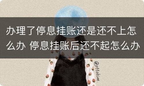 办理了停息挂账还是还不上怎么办 停息挂账后还不起怎么办