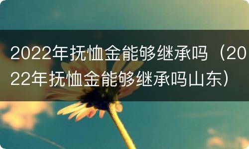 2022年抚恤金能够继承吗（2022年抚恤金能够继承吗山东）