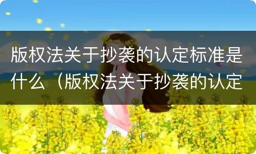 版权法关于抄袭的认定标准是什么（版权法关于抄袭的认定标准是什么呢）