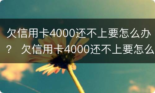 欠信用卡4000还不上要怎么办？ 欠信用卡4000还不上要怎么办呢