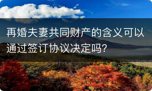 再婚夫妻共同财产的含义可以通过签订协议决定吗？