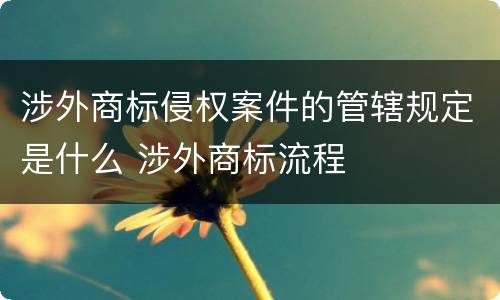 涉外商标侵权案件的管辖规定是什么 涉外商标流程