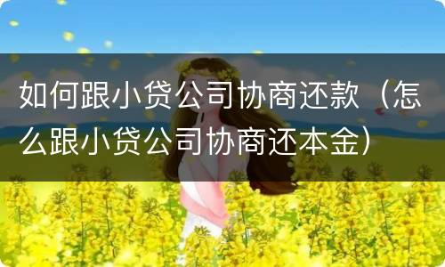 如何跟小贷公司协商还款（怎么跟小贷公司协商还本金）