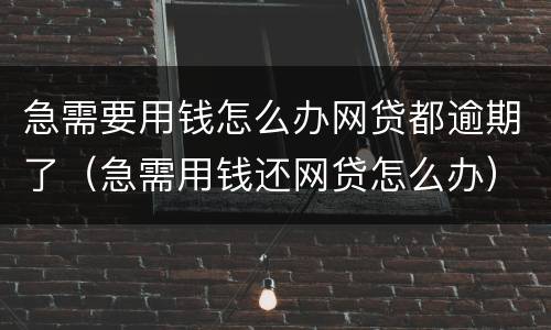 急需要用钱怎么办网贷都逾期了（急需用钱还网贷怎么办）