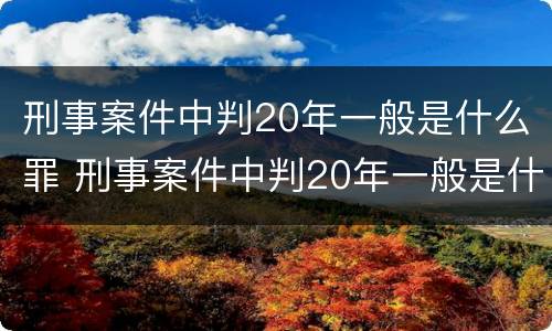 刑事案件中判20年一般是什么罪 刑事案件中判20年一般是什么罪名