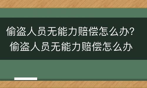 偷盗人员无能力赔偿怎么办？ 偷盗人员无能力赔偿怎么办