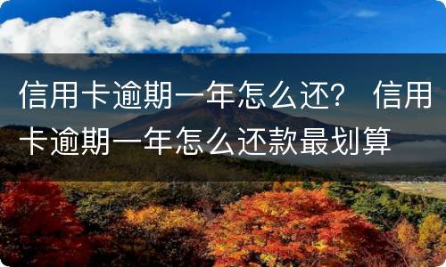 信用卡逾期一年怎么还？ 信用卡逾期一年怎么还款最划算