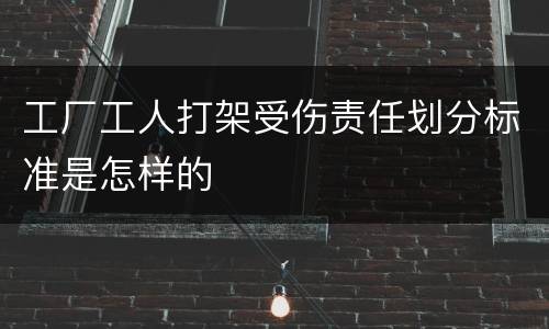 工厂工人打架受伤责任划分标准是怎样的