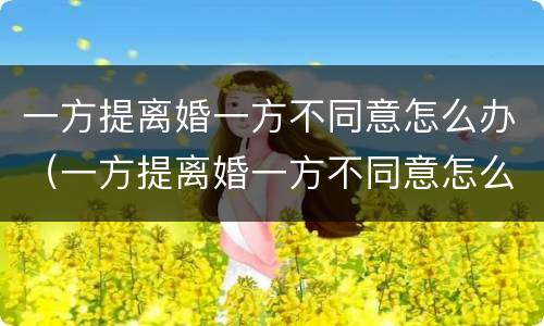 一方提离婚一方不同意怎么办（一方提离婚一方不同意怎么办呢）