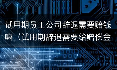 试用期员工公司辞退需要赔钱嘛（试用期辞退需要给赔偿金吗）
