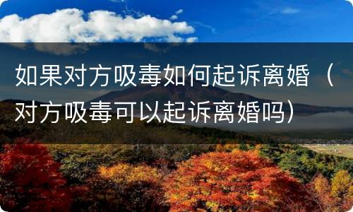 如果对方吸毒如何起诉离婚（对方吸毒可以起诉离婚吗）
