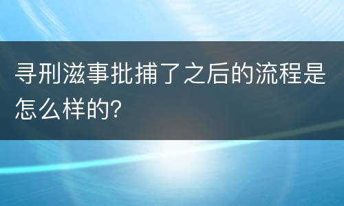 寻刑滋事批捕了之后的流程是怎么样的？