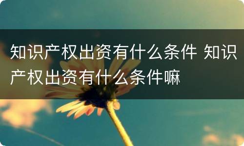 知识产权出资有什么条件 知识产权出资有什么条件嘛