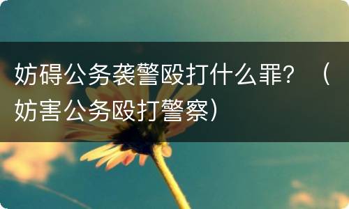 妨碍公务袭警殴打什么罪？（妨害公务殴打警察）