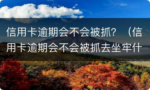 信用卡逾期会不会被抓？（信用卡逾期会不会被抓去坐牢什么叫恶意透支）