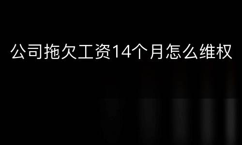 公司拖欠工资14个月怎么维权