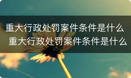 重大行政处罚案件条件是什么 重大行政处罚案件条件是什么意思