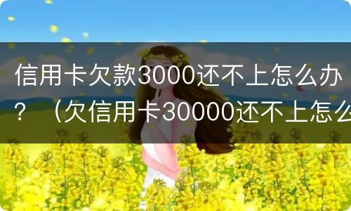 信用卡欠款3000还不上怎么办？（欠信用卡30000还不上怎么办）