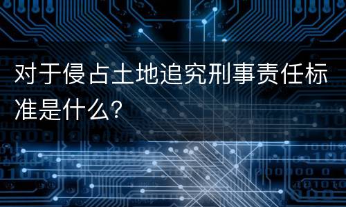对于侵占土地追究刑事责任标准是什么？