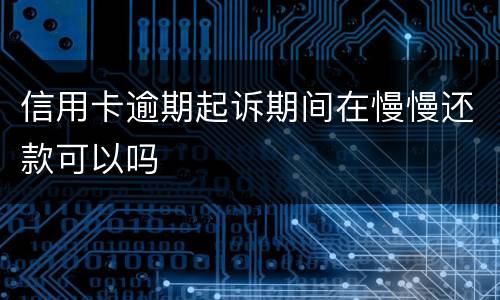 信用卡逾期起诉期间在慢慢还款可以吗
