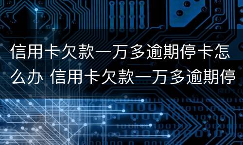 信用卡欠款一万多逾期停卡怎么办 信用卡欠款一万多逾期停卡怎么办呢