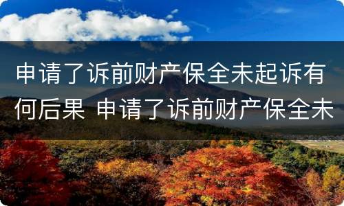 申请了诉前财产保全未起诉有何后果 申请了诉前财产保全未起诉有何后果呢