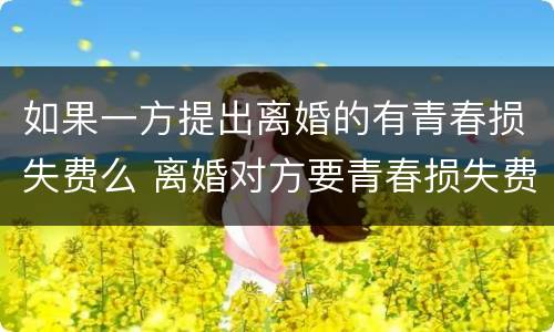 如果一方提出离婚的有青春损失费么 离婚对方要青春损失费